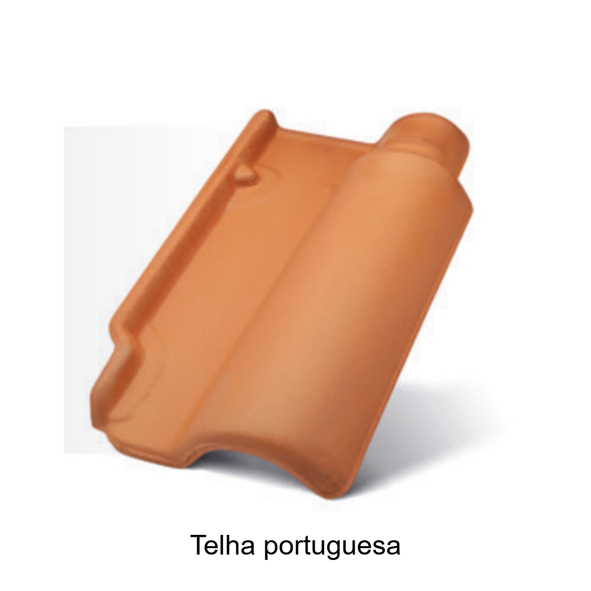 telha portuguesa (1).jpg